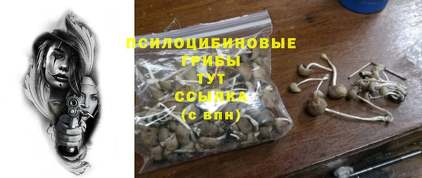 мет Пересвет