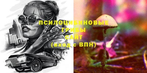 мет Пересвет