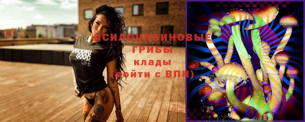 экстази Переславль-Залесский