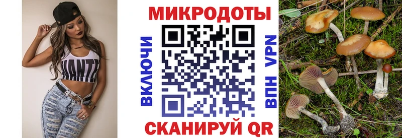 Купить закладки  Зима  Галлюциногенные грибы Psilocybine cubensis 