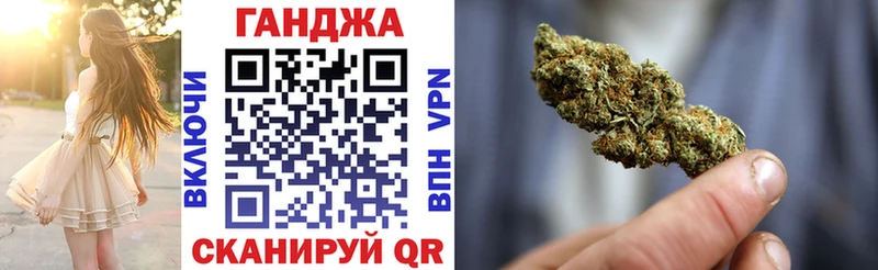 Купить где Зима Бошки Шишки семена